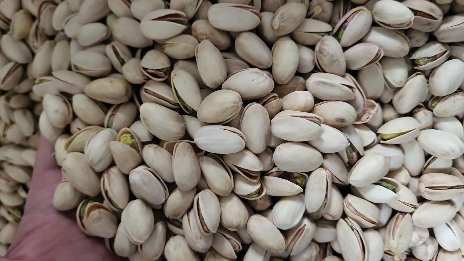 Pistaches en coque sélectionnées